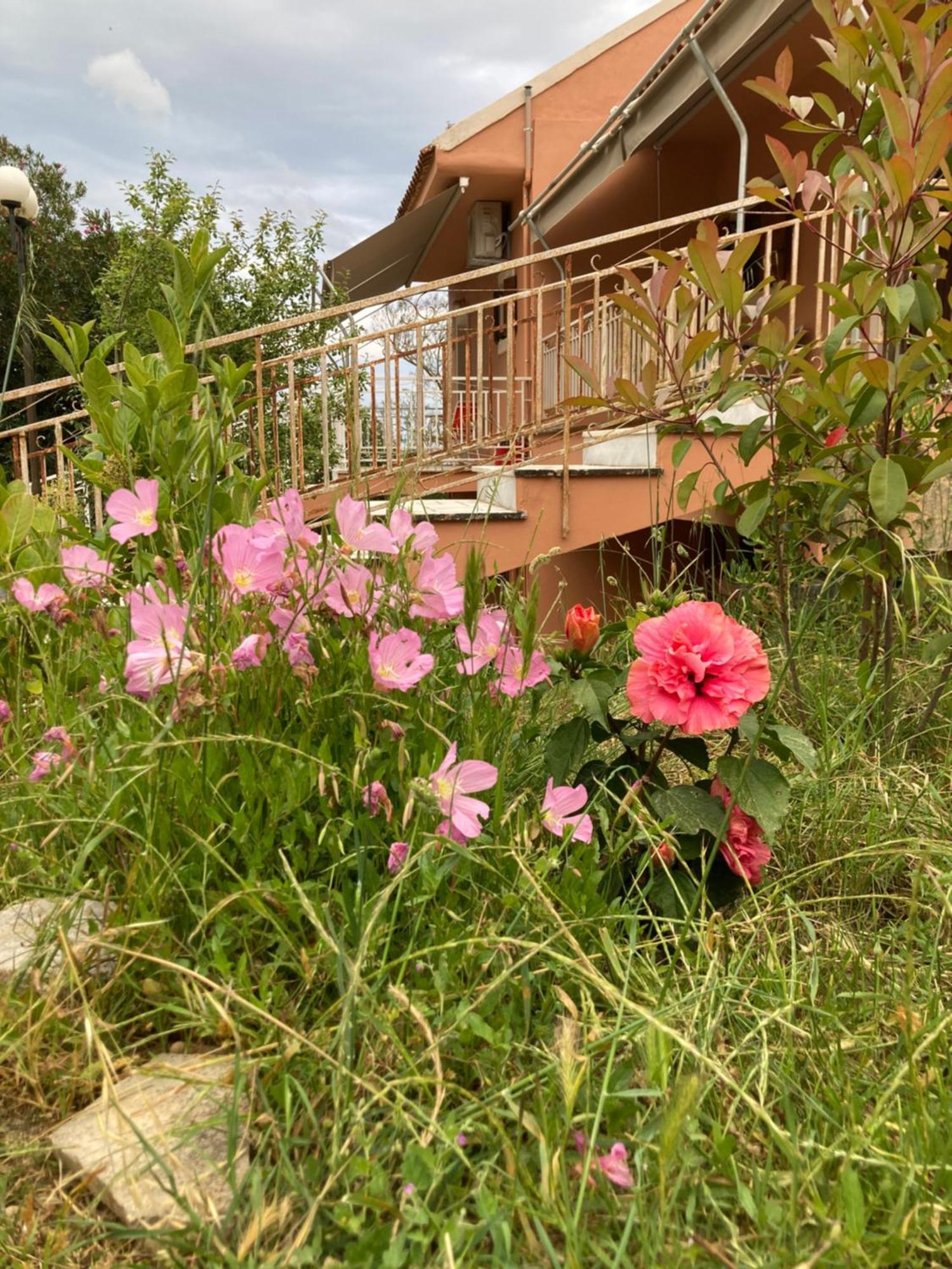 Kokkini Peach Budget Kokkínion Екстериор снимка